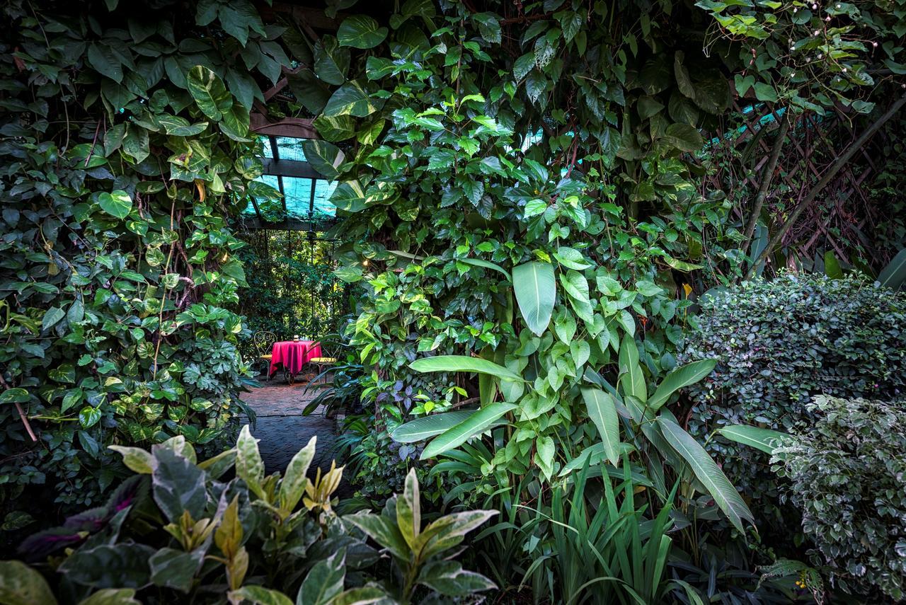 Amatao Tropical Residence Siem Reap Dış mekan fotoğraf